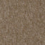 Carus 3110 720 Carpet Tiles from DCTUK