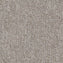 Carus 3110 910 Carpet Tiles from DCTUK