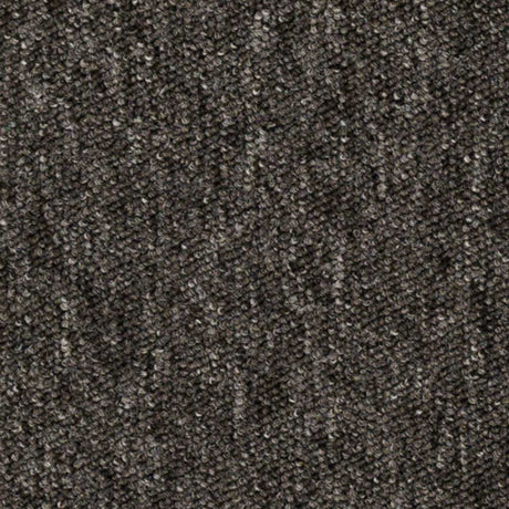 Carus 3110 970 Carpet Tiles from DCTUK