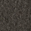 Carus 3110 970 Carpet Tiles from DCTUK