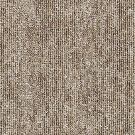 Carus 4110 610 Carpet Tiles from DCTUK