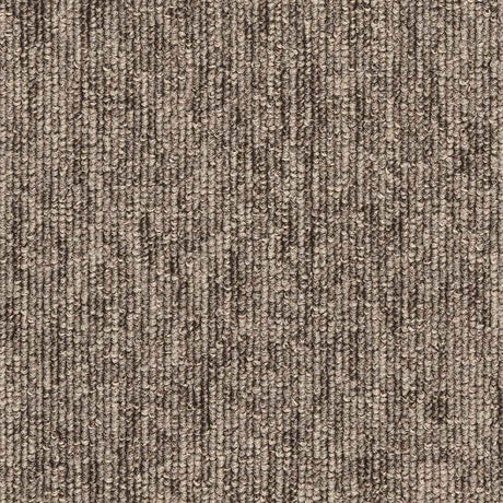 Carus 4110 730 Carpet Tiles from DCTUK