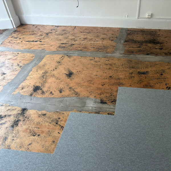 Before photo 2