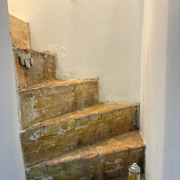 Before photo 1