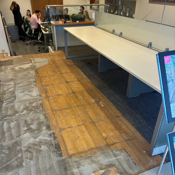 Before photo 2