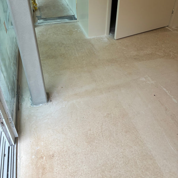 Before photo 1