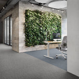 Desso Airmaster Atmos 3841 Carpet Tiles - DCTUK
