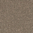Desso Airmaster Earth 311960 Carpet Tiles - DCTUK