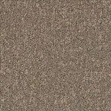 Desso Airmaster Earth 311960 Carpet Tiles - DCTUK