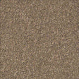 Desso Airmaster Earth 312023 Carpet Tiles - DCTUK