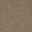 Desso Airmaster Earth 312023 Carpet Tiles - DCTUK