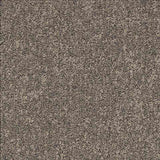 Desso Airmaster Earth 319094 Carpet Tiles - DCTUK