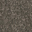 Desso AirMaster Tierra Gold 9524 Carpet Tiles - DCTUK