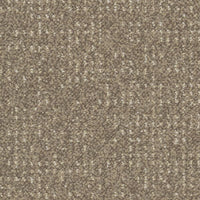 Desso Enlaced AD43 9096 Carpet Tiles