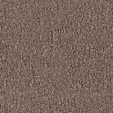 Desso Fields 2934 Carpet Tiles - DCTUK