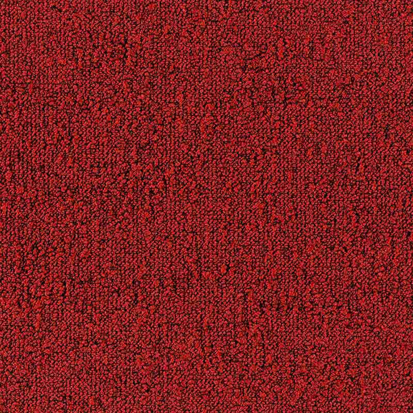 4202