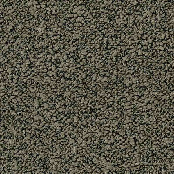 7944