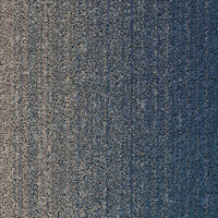 Desso Fuse Landscape 8814 Carpet Tiles