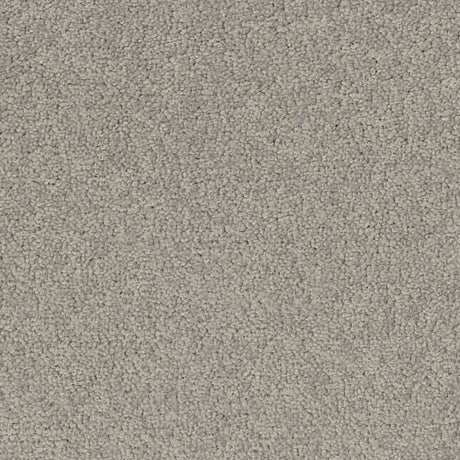 Desso Palatino 1318 Carpet Tiles - DCTUK