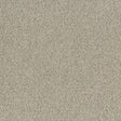 Desso Palatino 1321 Carpet Tiles - DCTUK