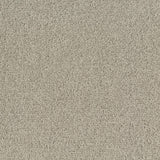 Desso Palatino 1321 Carpet Tiles - DCTUK