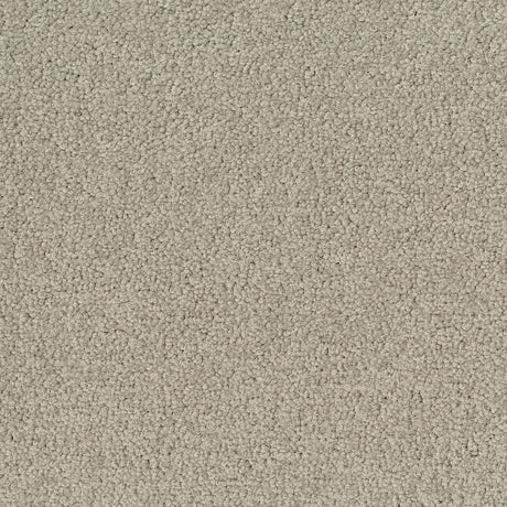 Desso Palatino 1321 Carpet Tiles - DCTUK