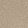 Desso Palatino 1510 Carpet Tiles - DCTUK