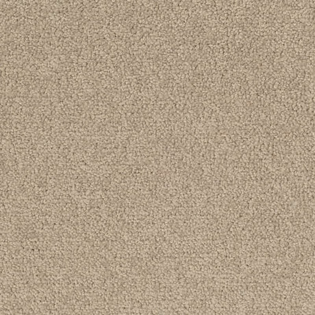 Desso Palatino 1510 Carpet Tiles - DCTUK