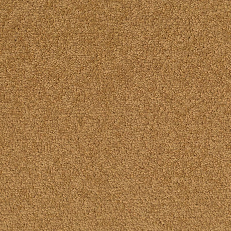 Desso Palatino 2036 Carpet Tiles - DCTUK