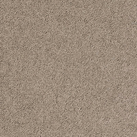 Desso Palatino 2923 Carpet Tiles - DCTUK