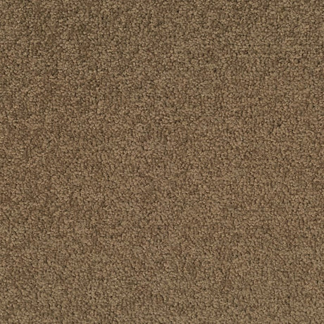 Desso Palatino 2929 Carpet Tiles - DCTUK