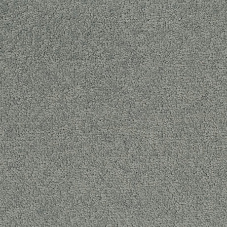 Desso Palatino 3502 Carpet Tiles - DCTUK