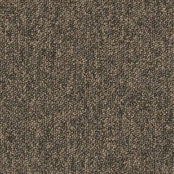9096
