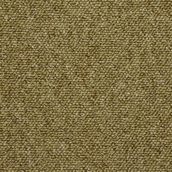 Light Moss Green 078232548