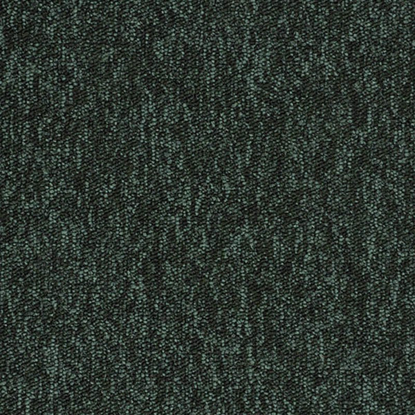 Bottle Green 069239048