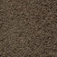 EGE Epoca Silky Ecotrust Silky Caramel Carpet Tiles - DCTUK