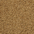 EGE Epoca Silky Ecotrust Silky Golden Carpet Tiles - DCTUK