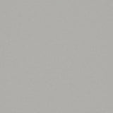 Forbo Eternal Colour 42452 Greige Sheet Vinyl - DCTUK