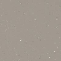 Forbo Eternal Colour 42462 Elegance Fossil Sheet Vinyl