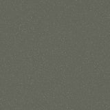 Forbo Eternal Colour 42482 Earth Sheet Vinyl - DCTUK