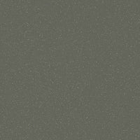 Forbo Eternal Colour 42482 Earth Sheet Vinyl