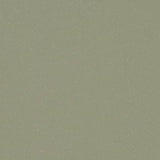 Forbo Eternal Colour 42492 Sage Sheet Vinyl - DCTUK