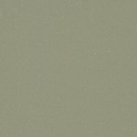 Forbo Eternal Colour 42492 Sage Sheet Vinyl