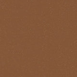 Forbo Eternal Colour 42592 Grey Terra Sheet Vinyl - DCTUK