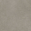 Forbo Eternal Material 13212 Taupe Speckled Ceramic Sheet Vinyl - DCTUK