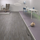 Forbo Eternal Wood Bleached Timber Sheet Vinyl - DCTUK