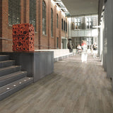 Forbo Eternal Wood Bleached Timber Sheet Vinyl - DCTUK