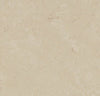 Forbo Marmoleum Click Cloudy Sand 333711 Linoleum - DCTUK