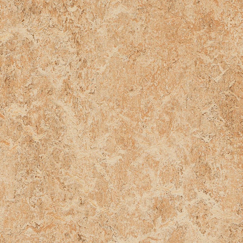 Forbo Marmoleum Marbled Authentic 3075 Shell Linoleum - DCTUK