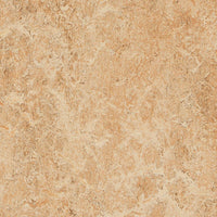 Forbo Marmoleum Marbled Authentic 3075 Shell Linoleum